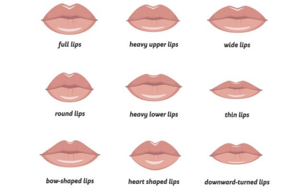 The quest to find the perfect lips - Dr Nerina Wilkinson + Associates